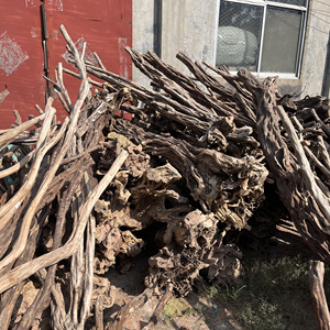 Chi nhánh cây đỗ quyên trang trí gỗ lũa bể cá - Product Image 3