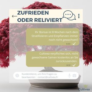 Mini 5 sẵn sàng để phát triển Bonsai Kit trồng trong nhà món quà ý tưởng với Red Maple Trung Quốc cercis juniperus liquidambar vân sam Đỏ - Product Image 6