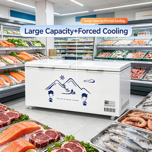 -30 ℃   Congélateur Vitrine Commerciale <span class=keywords><strong>Grande</strong></span> Capacité 1000L, Double Porte, pour Crèmes Glacées, Congélateurs Coffres Profonds pour Supermarchés et Épiceries - Product Image 1