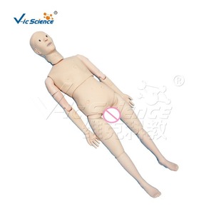 Maniquí combinado para práctica de enfermería masculina, cateterización intravenosa, modelo de enseñanza de primeros auxilios y RCP - Product Image 5