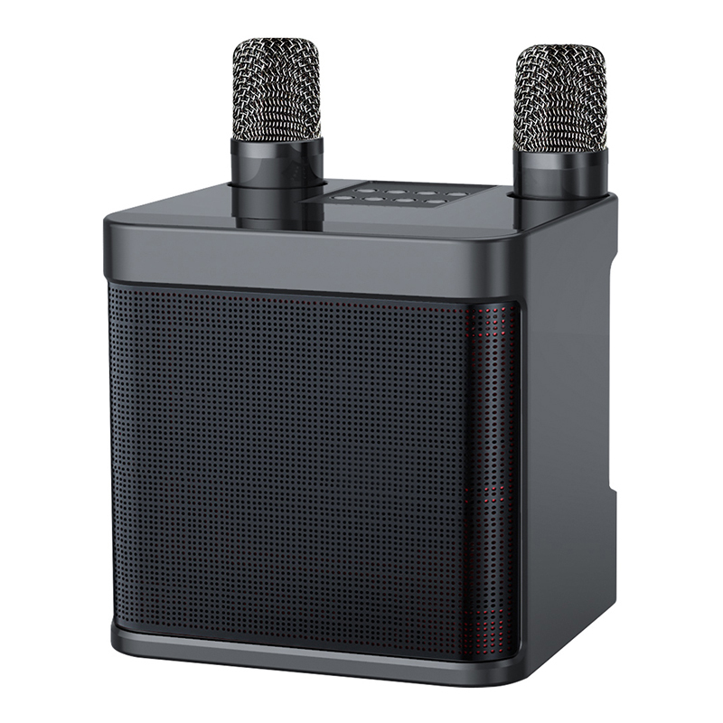 Portable Wireless Microphone Karaoke 10W Speaker