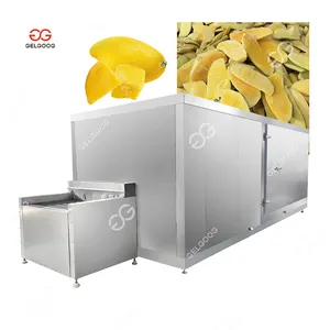 Gelgoog Iqf Tiefkühlkost Durian Bananen chips Verarbeitung maschinen Maschinen für gefrorenes Gemüse