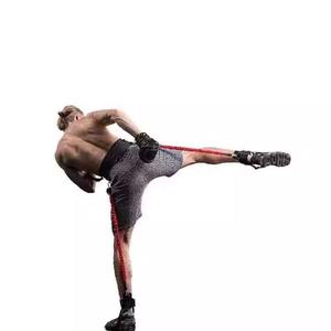 Bandas de Resistencia <span class=keywords><strong>para</strong></span> <span class=keywords><strong>Ejercicio</strong></span>, Bandas de Resistencia <span class=keywords><strong>para</strong></span> Boxeo y Artes Marciales, Entrenamiento de Resistencia <span class=keywords><strong>en</strong></span> <span class=keywords><strong>Casa</strong></span> <span class=keywords><strong>para</strong></span> Puñetazos/Patadas - Product Image 6