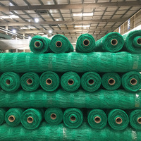 Grillage en plastique extrudé pour la protection de l'herbe, géogrille en HDPE pour le renforcement des pentes et la protection du gazon