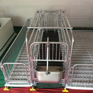 Aangepaste Farrowing Staal Varken Pen Ontwerp Apparatuur Voor Eu Markt - Product Image 6