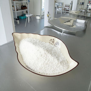 E20250801 <span class=keywords><strong>Prix</strong></span> compétitif Forte paquet piscine <span class=keywords><strong>choc</strong></span> <span class=keywords><strong>chlore</strong></span> à faible quantité minimale de commande - Product Image 6