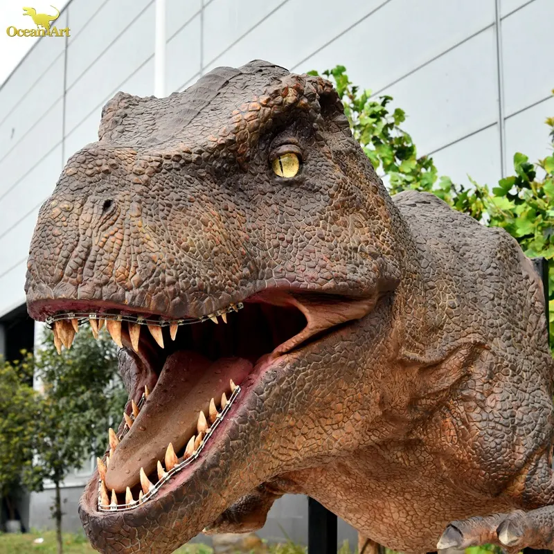 พิพิธภัณฑ์ขนาดชีวิตหุ่นยนต์ไดโนเสาร์สมจริงขนาดใหญ่หัว T-rex โมเดลไดโนเสาร์ Animatronic