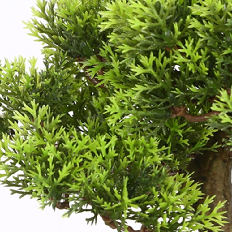 Expédition rapide D'arborvitae Cèdre Thuya Cyprès Feuilles Plante Bonsaï artificiel bureau plante