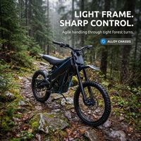 Talaria XXX Pro MX Moto électrique légère 59 kg de poids net pour la course sur piste unique, la montée technique et le vélo de ville électrique