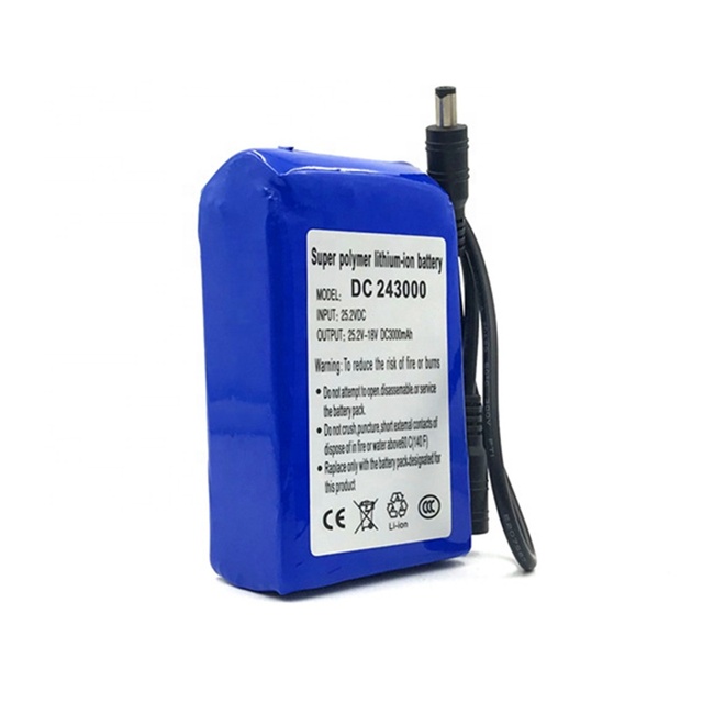 DC 243000 24V 3000mAh Lithium Ion Battery Pack with 5521 Connector for Camera