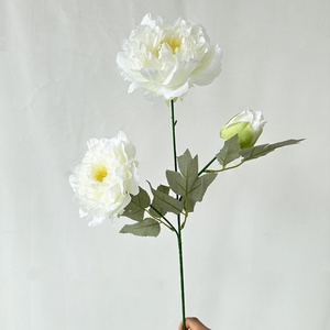 Ramas de Hojas de Arce Artificiales de 60 cm, Tela de Seda, Plantas Decorativas, Tallos de Follaje Artificial para Decoración de Interiores del Hogar - Product Image 5