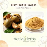 Monk Fruit Poeder Luo Han Guo Extract Mogroside V Natuurlijke Zoetstof Zero Calorie Keto Suikervervanger Groothandel