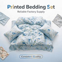 Ensemble de literie en microfibre douce de qualité supérieure, design imprimé luxueux, haute durabilité, prix d'usine bas, fournisseur en gros de literie
