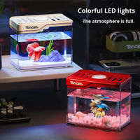 Aquarium écologique créatif en verre pour bureau, petit terrarium carré avec paysage pour tortue et betta