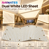 RAYMATES High Lumen Adjustable CCT Color 24VDC 2700K + 6500K CW + WW Feuille d'éclairage LED flexible pour lumière de marbre
