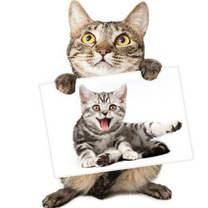 <span class=keywords><strong>De</strong></span> taladro completo 5D pintura al óleo DIY foto <span class=keywords><strong>de</strong></span> paisaje bebé mascota boda los padres <span class=keywords><strong>de</strong></span> regalo bordado <span class=keywords><strong>Cruz</strong></span> puntada - Product Image 1