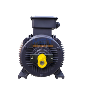มอเตอร์เหนี่ยวนำแบบเหนี่ยวนำกระแสไฟฟ้าชนิดขดลวดโรเตอร์ Ye2-1600l-4 15kw ของ Weg - Product Image 4