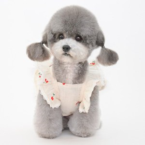Vestitino Personalizzato per Cani di Piccola Taglia, Gonna in Pizzo Sexy e Carina, Abbigliamento per Cuccioli - Product Image 5