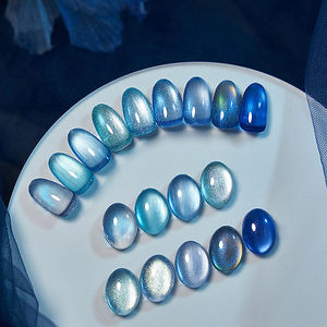 AILANUO TPO Hema Serie de Esmaltes de Uñas en Gel de 9 Colores Azul Ojo de Gato, Personalización Gratuita, OEM 15ml, Suministros para Salón de Uñas - Product Image 2