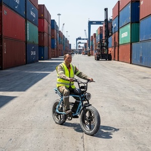 48V Elektrofahrrad mit 20-Zoll-Reifen, Harbor E-Bike für Hafeninspektion - Product Image 6
