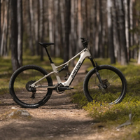 En stock, vélo de montagne électrique Amflow TL 2027, cadre en carbone, batterie amovible 800Wh, ultraléger