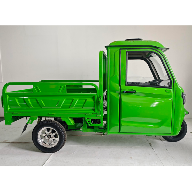 EEC Certificate Enclosed Cabin Car COC DOT Rickshaw Electric Tricycles 3 Wheel Cargo Bike Mini Trike Truck in Germany Stock