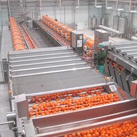 Vruchtensap Productie Kleine Hoge Snelheid Avocado Sorteren Machine