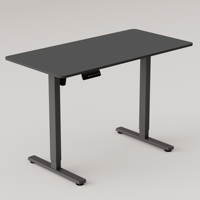 Bureau debout électrique PRORIALS moderne pour bureau à domicile, réglable en hauteur, à moteur unique, télescopique, noir, durable, en métal