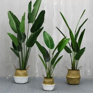 Palmeras Artificiales de Viajero, Hojas Grandes de Alta Calidad, Plantas Verdes en Maceta para Interiores, Decoración para Hogar y Jardín, Resistentes a los Rayos UV - Product Image 5