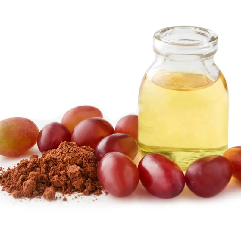 Raffinato prezzo all'ingrosso olio di semi d'uva biologico in polvere