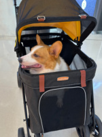 À la mode Grand Chien Poussette Respirant Pliable En Plein Air Voyage Pet Carrier