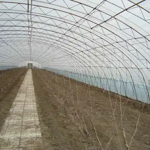 商业温室隧道式农业种植黄瓜