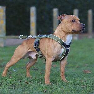 Y-berbentuk rompi Neoprene reflektif <span class=keywords><strong>Harness</strong></span> kustom Neoprene nilon tugas berat Slip <span class=keywords><strong>on</strong></span> tanpa tarik desainer taktis harnes anjing - Product Image 6