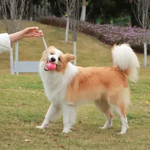 SunRay Mascota-Balle de tennis interactive pour animaux de compagnie, jouet à mâcher en caoutchouc pour chien, corde, nouveauté 2024