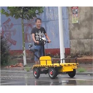 Transport électrique plat, damier avec bonne fortune et meilleur service, cargo plat - Product Image 2