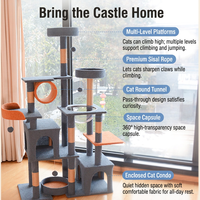 Arbre à chat en bois design château, avec capsule transparente à 360 degrés, lit incurvé, poteaux en sisal et design minimaliste en carton, pour les acheteurs de meubles pour chats OEM