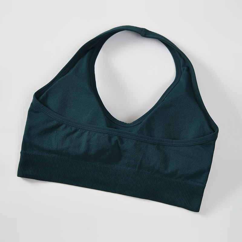 Halter-Neck Sports Bra (W6119): back view showing construction, seams and support