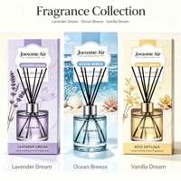 Diffuseur de parfum personnalisé OEM ODM en gros, parfum d'ambiance de luxe en bouteille de verre