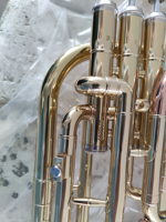 Yellow Brass BE Alto Horn Brass Instruments with Premium Case(AH-G400G-YRY)