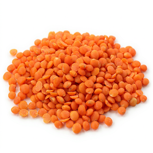 Lentilles rouges séchées indiennes de première qualité, nouvelle récolte, pour acheteurs commerciaux mondiaux, importateurs en gros, transformateurs alimentaires, en vrac - Product Image 1
