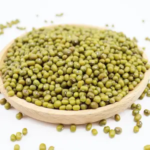 Hot sale green mung beans for sale