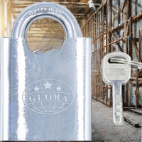 Clé à palette chromée électronique personnalisée de 60mm demi-faisceau cadenas de sécurité en fer étanche anti-coupure pour porte