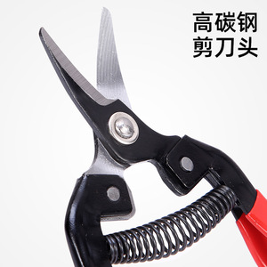 Fruit Picker Pruning Shears Short-Tipped 20-30 Mm Bypass Stainless Steel Red Handle Gardening Tool - Product Image 3