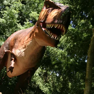 Nhà Máy Trực Tiếp Velociraptor Sống Động Như Thật Animatronic Khủng Long Mô Hình Với Âm Thanh Cho Giáo Dục Sử Dụng