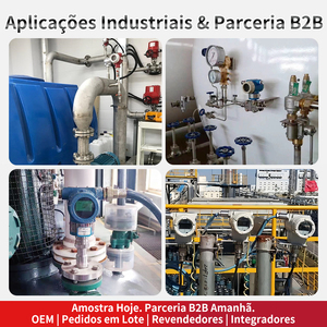 Medidor de Silicio Inteligente Programable, Precisión Absoluta del 0.075%, Alta Precisión, 4-20mA HART para Petróleo, Gas y Agua - Product Image 5