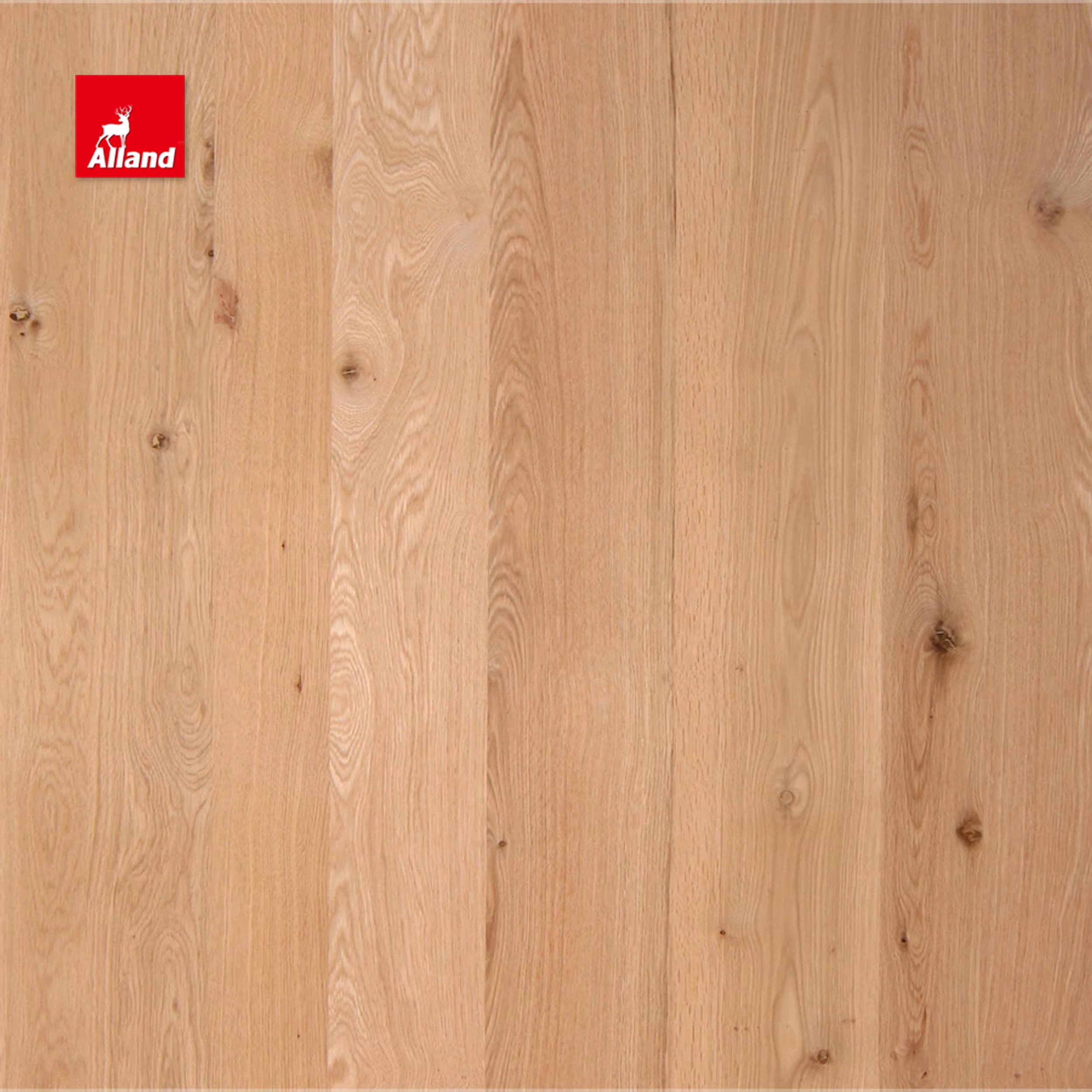 Rustic knotty white oak