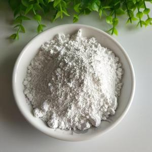 Revêtement en plastique lourd de <span class=keywords><strong>mastic</strong></span> de carbonate de calcium léger nano fourni par le fabricant pour des applications réfractaires - Product Image 1