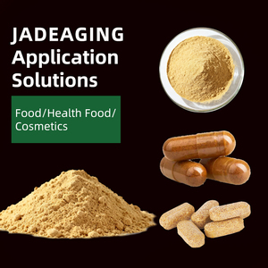 Bán buôn số lượng lớn Panax <span class=keywords><strong>Ginseng</strong></span> <span class=keywords><strong>Ginseng</strong></span> chiết xuất nhân sâm bột ginsenosides 60% từ các nhà sản xuất - Product Image 4