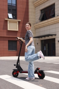 2025 for Certified Compact 9-Inch Waterproof 500W Motor 40-60km Range Foldable Two-Wheel Scooter US Ready Stock - Product Image 6