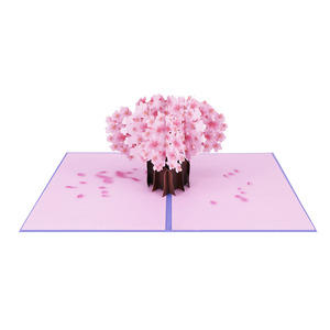 Сделанная на заказ 3d pop up get well soon подарочная корзина для карт для женщин - Product Image 2